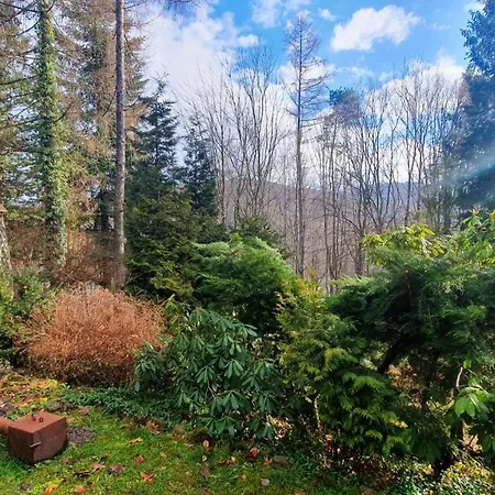 Villa Dom Wakacyjny Nad Jeziorem - Zarnowka